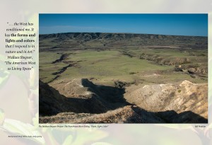 Forms Light Color in Valley 