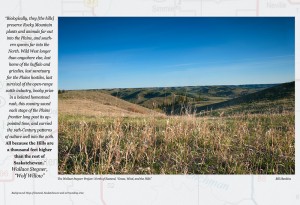 Grass Wind and the Hills WW 