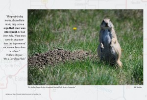 Prairie Dog companion Darkling Plain  