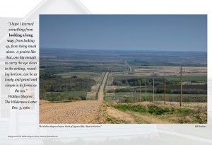 Road to horizon from Wilderness letter    