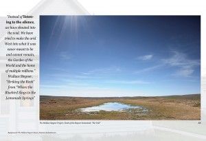 The Void, from Bluebird sings    