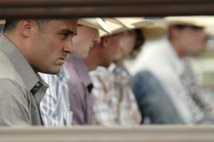 Bullrider 