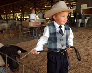 Littleboyshowingsheep
