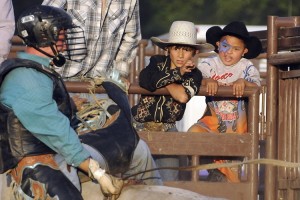 YoungfansatBullride   