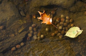 CreekArt