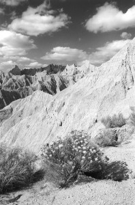BadlandsSagebrushandPeaks 
