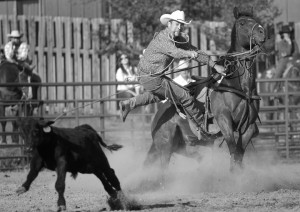 MontanaRopingGardinerRodeo