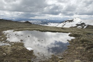 SpringThaw           