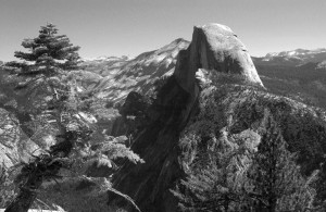 YosemiteTreeandHalfDome                